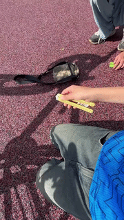 Butterfly Knife Tricks: some finger-twisting